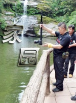 色停停