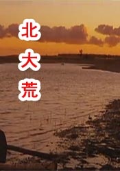 99久久精品免费看国产电影